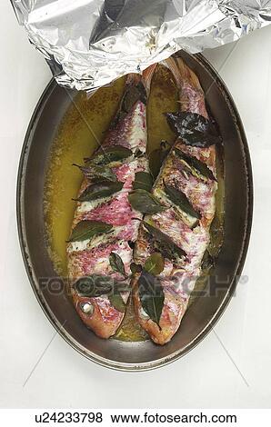 Stock Photo - Roasted Red Snapper. Fotosearch