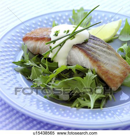 Salmon fillet with Hollandaise sauce & rocket salad View Large Photo Image Stock Photography - Salmon fillet with Hollandaise sauce & rocket salad. Fotosearch