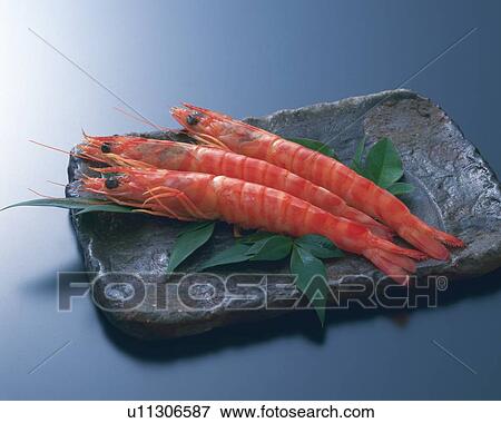 Three Shrimps, High Angle View View Large Photo Image Stock Photo - Three Shrimps, High Angle View. Fotosearch