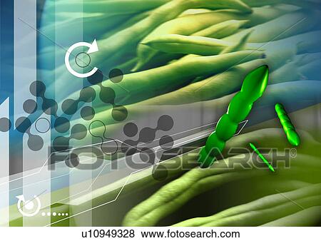 Vegetables superimposed on a colored background View Large Illustration Stock Illustration - Vegetables superimposed on a colored background. Fotosearch