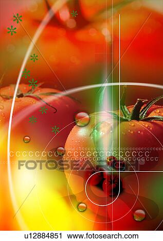 Tomatoes superimposed on a glowing background View Large Illustration Clip Art - Tomatoes superimposed on a glowing background. Fotosearch