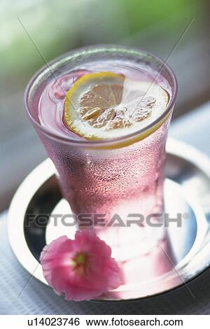Stock Photograph - Chaser, High Angle View. Fotosearch