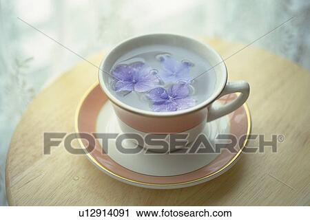 Flower Tea, High Angle View View Large Photo Image Stock Image - Flower Tea, High Angle View. Fotosearch