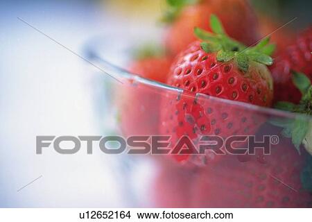 Strawberry View Large Photo Image Picture - Strawberry. Fotosearch