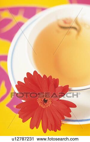 Stock Image - Tea Time, High Angle View. Fotosearch
