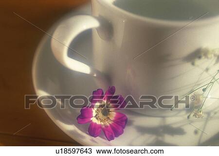 Stock Image - Tea Time Image. Fotosearch