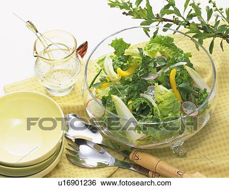 Green Vegetable Salad, High Angle View View Large Photo Image Stock Photograph - Green Vegetable Salad, High Angle View. Fotosearch