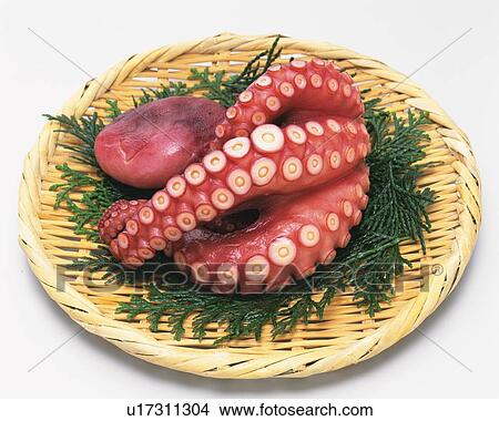 Boiled octopus on plate, high angle view View Large Photo Image Picture - Boiled octopus on plate, high angle view. Fotosearch