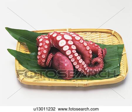 Boiled octopus on plate, high angle view View Large Photo Image Stock Image - Boiled octopus on plate, high angle view. Fotosearch