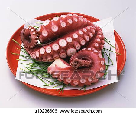 Boiled octopus on plate, high angle view View Large Photo Image Stock Photograph - Boiled octopus on plate, high angle view. Fotosearch