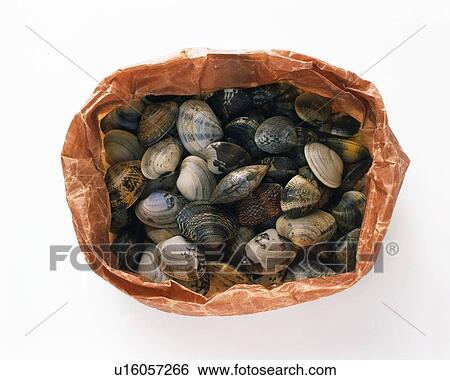 Clams on paper bag, high angle view View Large Photo Image Stock Photograph - Clams on paper bag, high angle view. Fotosearch