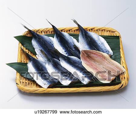 Fish cut open and dried, high angle view View Large Photo Image Stock Photo - Fish cut open and dried, high angle view. Fotosearch