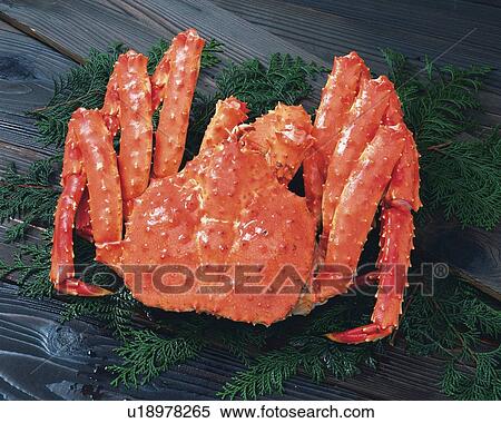 King crab on leaf, high angle view View Large Photo Image Stock Photography - King crab on leaf, high angle view. Fotosearch