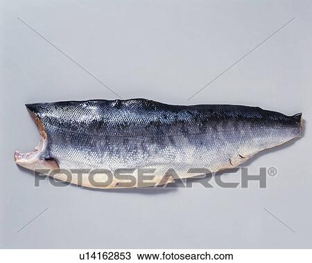 Stock Image - Salmon fillet, high angle view. Fotosearch
