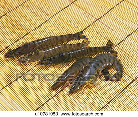Stock Image - Shrimps (Black Tiger) on bamboo mat, high angle view. Fotosearch