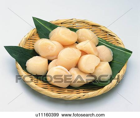 Stock Photo - Uncooked scallops. Fotosearch