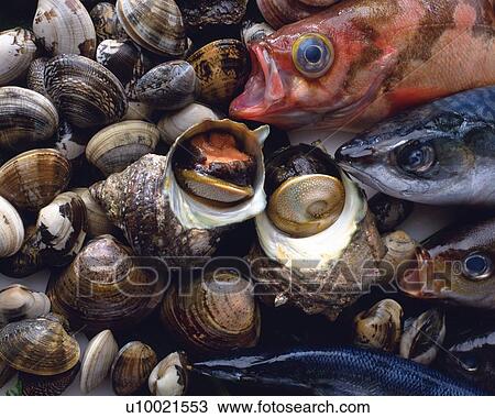 Variety types of seafood, Full Frame, high angle view, close up View Large Photo Image Stock Image - Variety types of seafood, Full Frame, high angle view, close up. Fotosearch