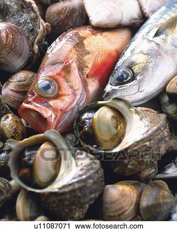 Stock Image - Variety types of seafood, Full Frame, high angle view, close up. Fotosearch