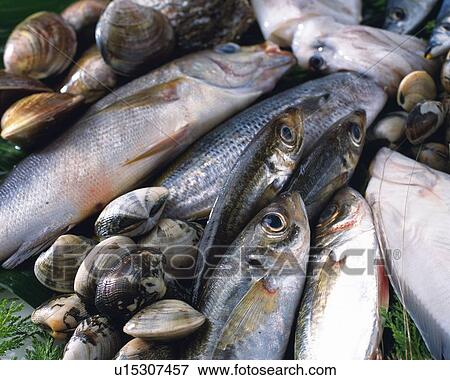 Stock Photo - Variety types of seafood, Full Frame, high angle view, close up. Fotosearch