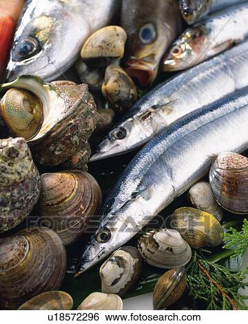 Variety types of seafood, Full Frame, high angle view, close up View Large Photo Image Stock Photograph - Variety types of seafood, Full Frame, high angle view, close up. Fotosearch