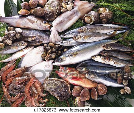 Variety types of seafood, high angle view View Large Photo Image Stock Image - Variety types of seafood, high angle view. Fotosearch