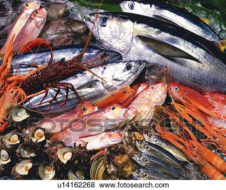 Variety types of seafood, high angle view View Large Photo Image Stock Photo - Variety types of seafood, high angle view. Fotosearch