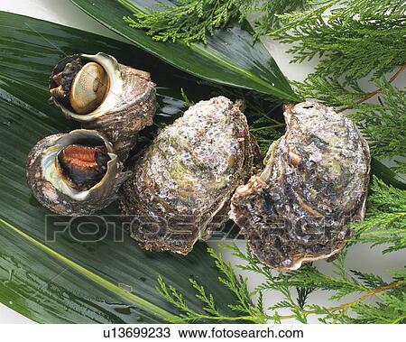 Stock Image - Variety types of shellfish, high angle view. Fotosearch