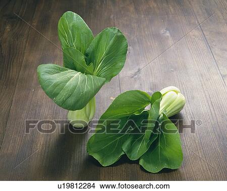 Picture - Bok Choy, high angle view. Fotosearch