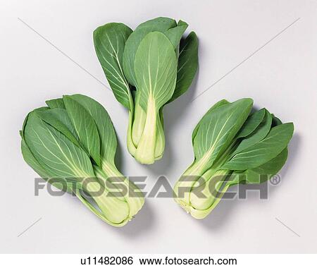 Stock Photograph - Bok Choy, high angle view. Fotosearch