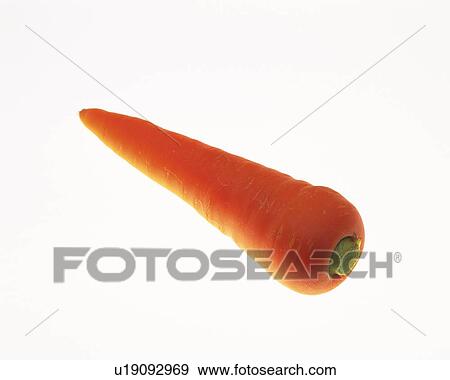 Carrot, high angle view View Large Photo Image Stock Photo - Carrot, high angle view. Fotosearch