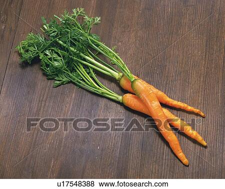 Carrots, high angle view View Large Photo Image Stock Photo - Carrots, high angle view. Fotosearch