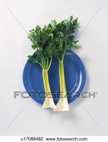 Stock Image - Celery Stalks on plate, high angle view. Fotosearch