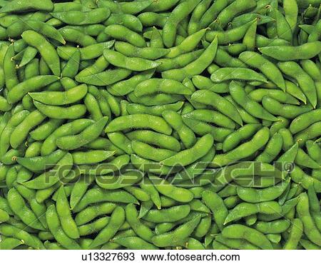 Green Japanese Soya Beans, Full Frame, high angle view View Large Photo Image Stock Image - Green Japanese Soya Beans, Full Frame, high angle view . Fotosearch