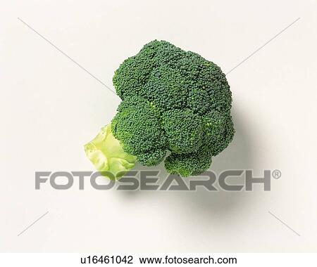 Head of broccoli, high angle view View Large Photo Image Stock Image - Head of broccoli, high angle view. Fotosearch