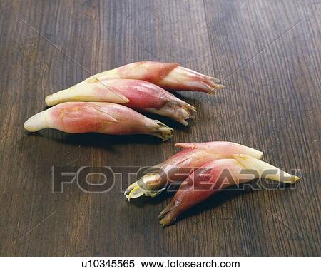 Japanese gingers, high angle view View Large Photo Image Stock Photography - Japanese gingers, high angle view. Fotosearch