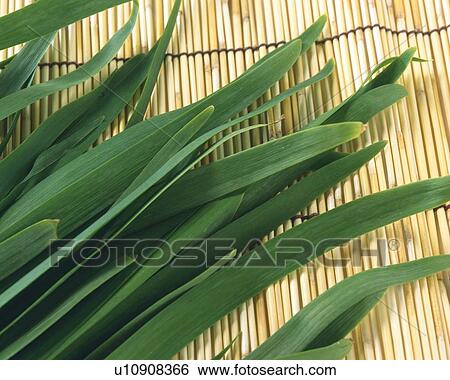 Stock Photograph - Leeks on bamboo mat, high angle view, close up. Fotosearch