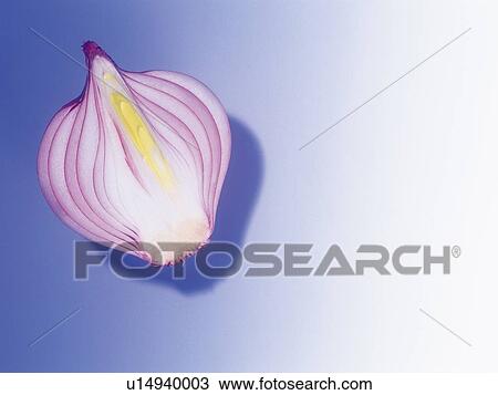 Onion, cut open, high angle view View Large Photo Image Stock Image - Onion, cut open, high angle view . Fotosearch