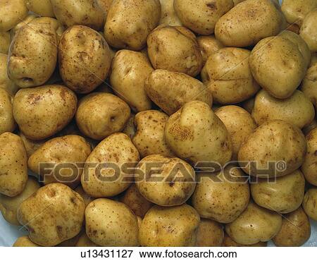 Stock Photo - Potatoes, Full Frame, high angle view. Fotosearch