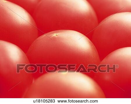 Tomatoes, Full Frame, high angle view, close up View Large Photo Image Stock Image - Tomatoes, Full Frame, high angle view, close up. Fotosearch