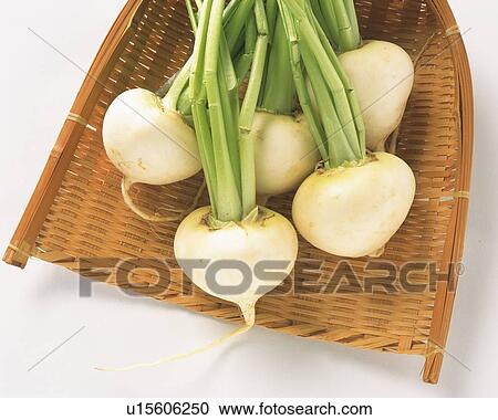 Turnips on bamboo basket, high angle view View Large Photo Image Stock Image - Turnips on bamboo basket, high angle view. Fotosearch