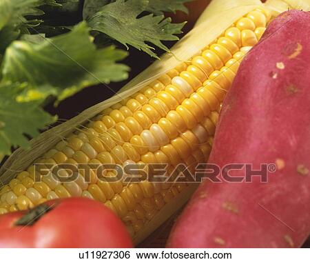 Variety types of vegetables, high angle view, close up View Large Photo Image Stock Photograph - Variety types of vegetables, high angle view, close up. Fotosearch