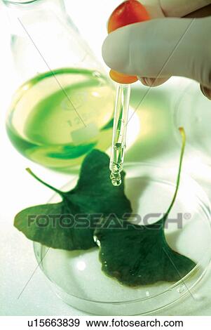Beaker, Fluid, Glass, Group Of Objects, Holding View Large Photo Image Stock Photo - Beaker, Fluid, Glass, Group Of Objects, Holding. Fotosearch