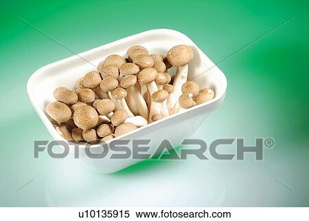 Bean, Bowl, Colored Background, Food, Green View Large Photo Image Stock Photography - Bean, Bowl, Colored Background, Food, Green. Fotosearch