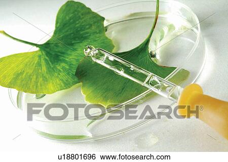 Stock Photograph - Botany, Chemical, Close-Up, Drop, Dropper. Fotosearch