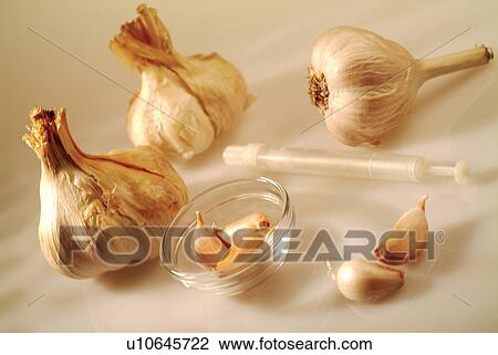 Bowl, Cloves Of Garlic, Food, Garlic, Glass View Large Photo Image Stock Image - Bowl, Cloves Of Garlic, Food, Garlic, Glass. Fotosearch