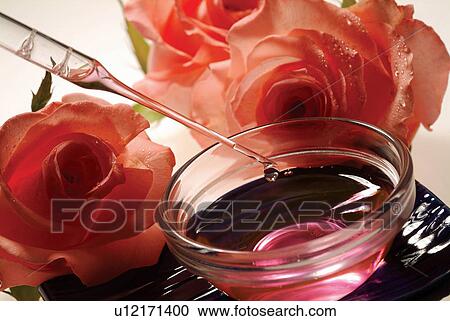 Bowl, Drop, Flower, Flower Head, Glass View Large Photo Image Stock Image - Bowl, Drop, Flower, Flower Head, Glass. Fotosearch