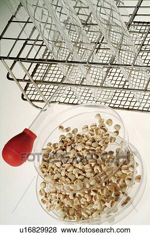 Stock Photo - Bowl, Dropper, Food, Glass, Group Of Objects. Fotosearch