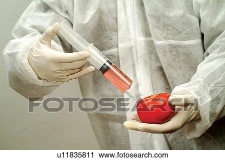 Chemical, Close-Up, Food, Glove, Holding View Large Photo Image Stock Image - Chemical, Close-Up, Food, Glove, Holding. Fotosearch