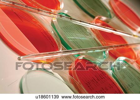 Stock Photo - , Chemical, Glass, Group Of Objects. Fotosearch