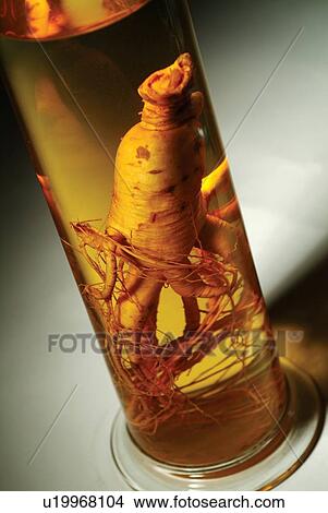 Close-Up, Cylinder, Indoor, Laboratory Equipment, Liquid View Large Photo Image Picture - Close-Up, Cylinder, Indoor, Laboratory Equipment, Liquid. Fotosearch
